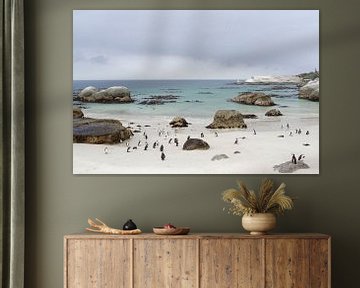 View of Boulders Beach by Frits Schulte