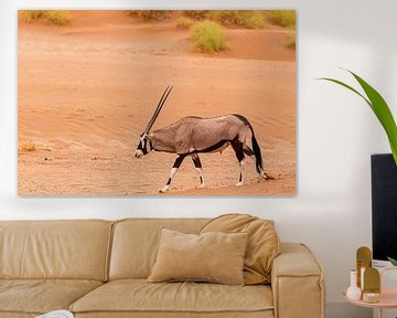 Eenzame Oryx in de Sossusvlei van Jeroen de Weerd