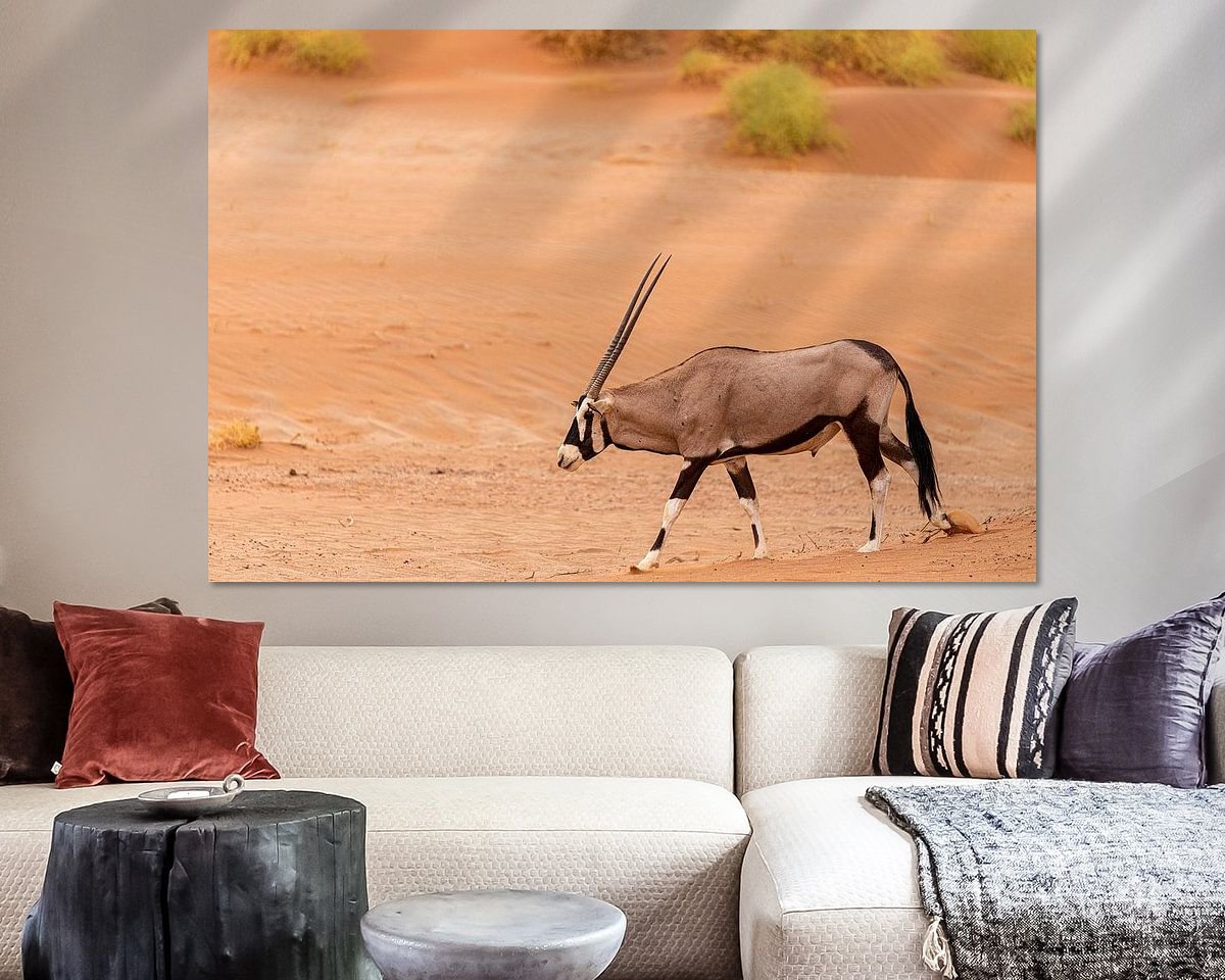 Raumvorschau