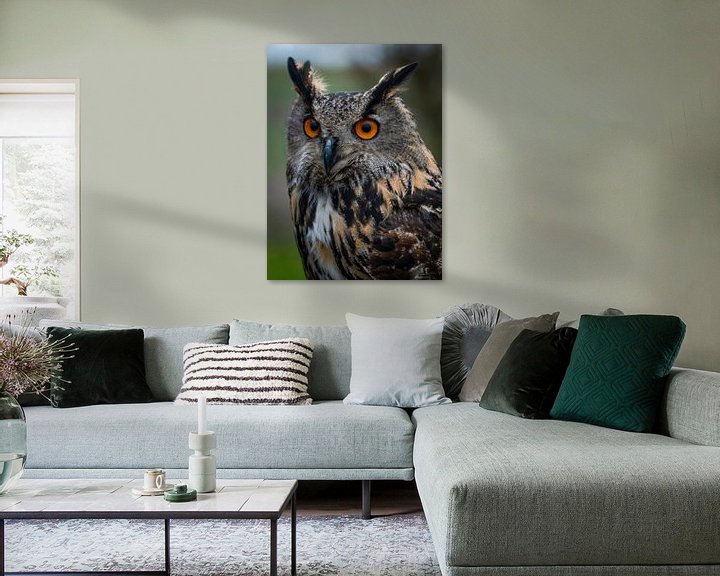 Impression: Portrait de chouette aigle en couleur sur Marjolein van Middelkoop
