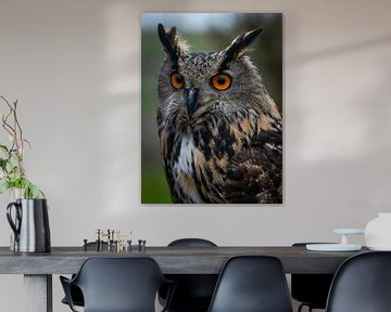 Portrait Eagle Owl in colour by Marjolein van Middelkoop