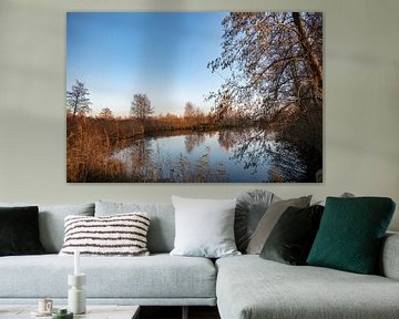 friesland boerderij de schenen van anne droogsma