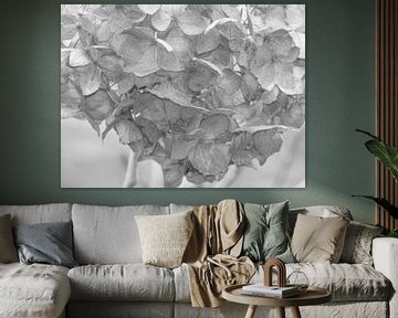 hydrangea #25 by Hanneke Bantje