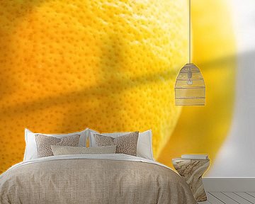 Lemons by FotoSynthese