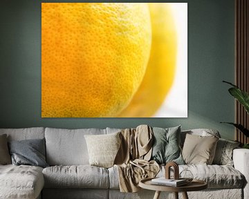 Citrons sur FotoSynthese