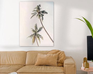 Palm Trees van David Potter