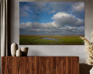 Barnacle geese in the salt marsh by Bo Scheeringa Photography