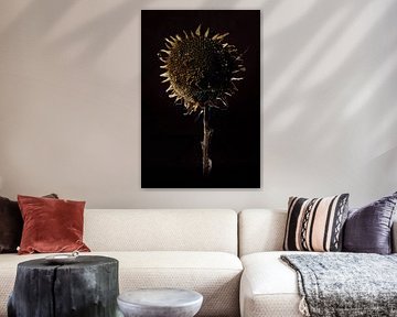 zonnebloem