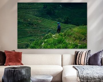 Chinese boerin op rijstveld II