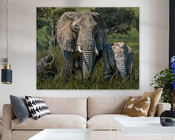 Mother elephant with smiling baby elephants in tall grass by Erwin Floor