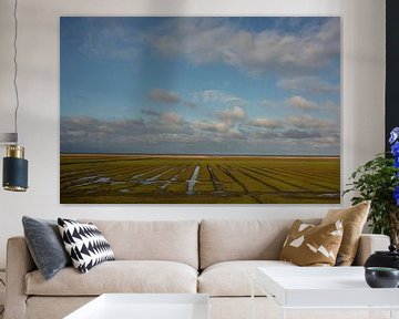 Salt marshes by Bo Scheeringa Photography