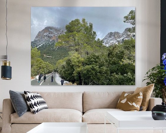 Aperçu de la chambre