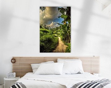 Reisfeld Ubud von Lima Fotografie