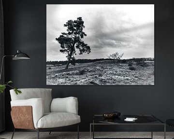 Paysage en noir et blanc avec un arbre solitaire sur Giovanni de Deugd