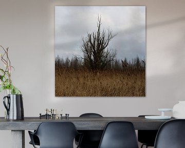 Een boom in de polder op een foto van Gerard de Zwaan