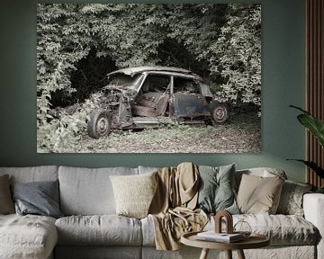 La Citroën DS dans les bois sur anne droogsma