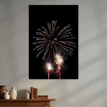 Fireworks by Irene Lantman