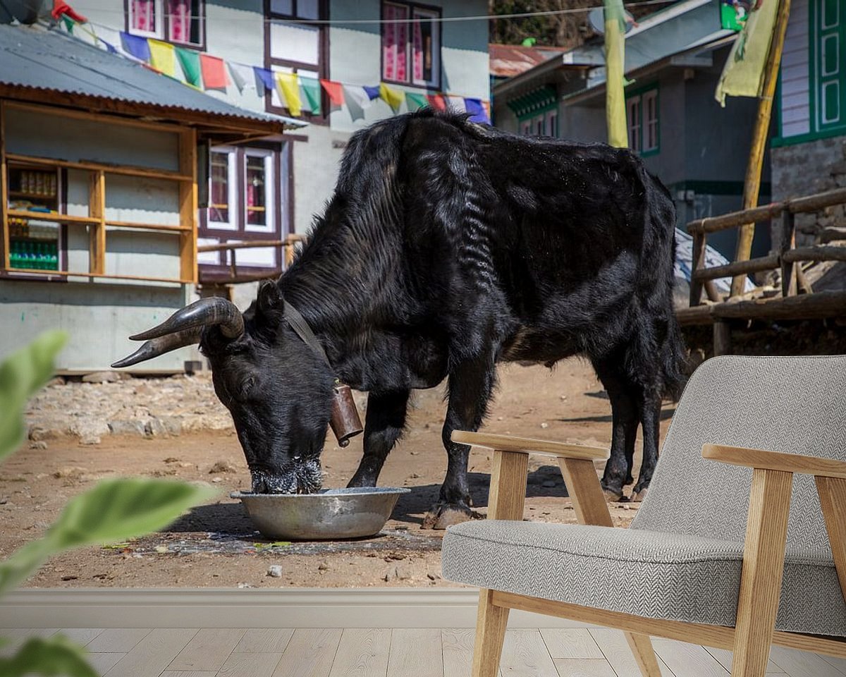 Raumvorschau