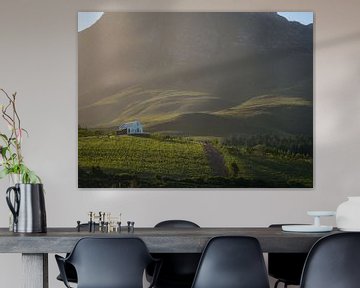 Idyllische wijngaard in de heuvels van Hemel en Aarde vallei in Zuid-Afrika van Teun Janssen