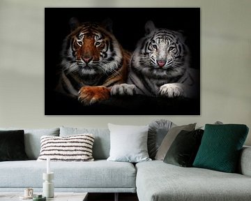 Tigers van Bert Hooijer