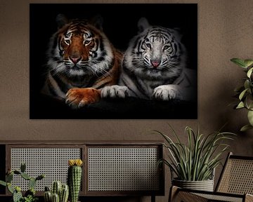 Tigers van Bert Hooijer