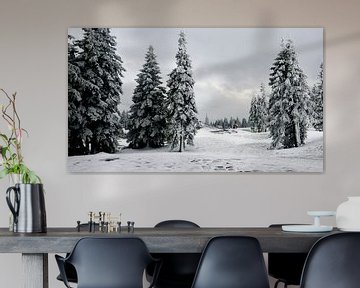 Fichtenbäume im Schnee bei Rogla in den slowenischen Alpen von Gert Bunt