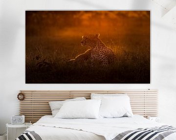 Sonnenaufgang in der Masai Mara! von Robert Kok