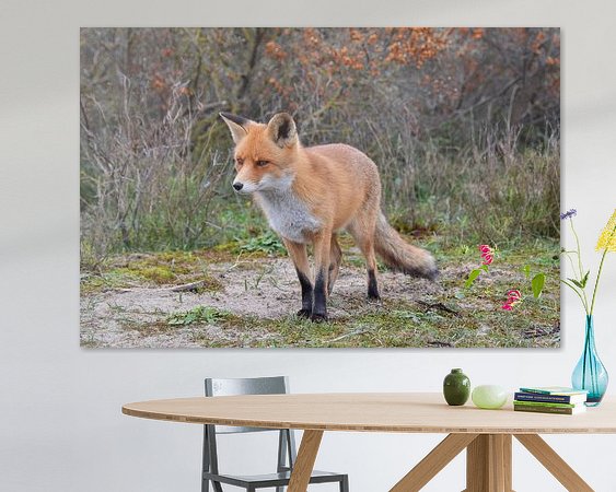 Aperçu de la chambre