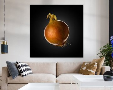 Zwiebel auf schwarzem Hintergrund von Everards Photography