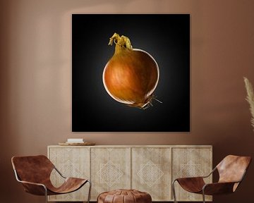 Onion on black background