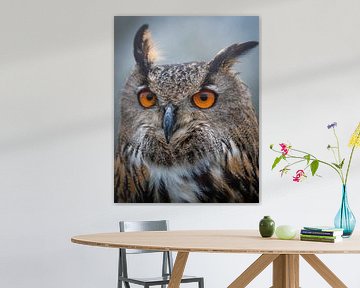 Eagle owl by Marjolein van Middelkoop