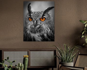 Eagle owl in black and white