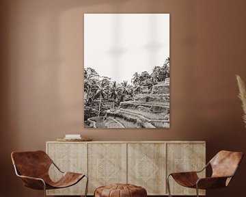 Tegalalang Rice Terrace Ubud Bali 3  grayscale by Photo Atelier