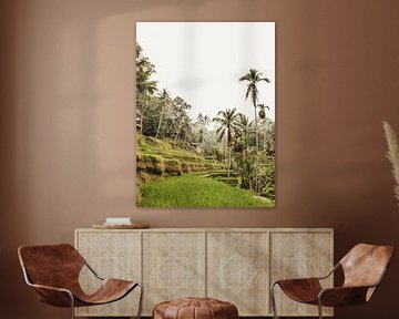 Tegalalang Rijstterras / rijstvelden Ubud Bali 2 van Photo Atelier
