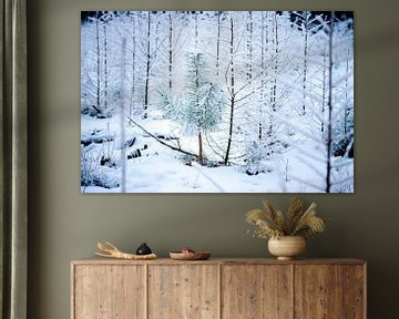 denneboom in een wintersbos van Karijn | Fine art Natuur en Reis Fotografie