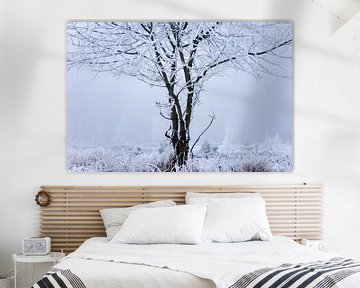 boom op de heide,  bedekt in sneeuw van Karijn | Fine art Natuur en Reis Fotografie