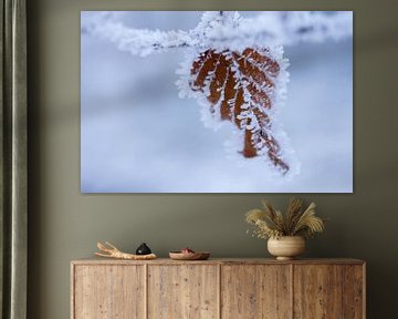 macrofoto van blaadje in de winter bedekt met sneeuw van Karijn | Fine art Natuur en Reis Fotografie
