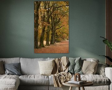 Among the large, autumnal trees by Manon Verijdt