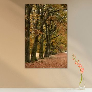 Among the large, autumnal trees