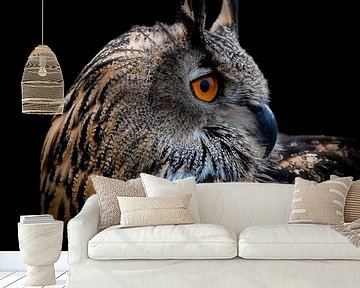 Europese Oehoe Uil van By Marjolein Design