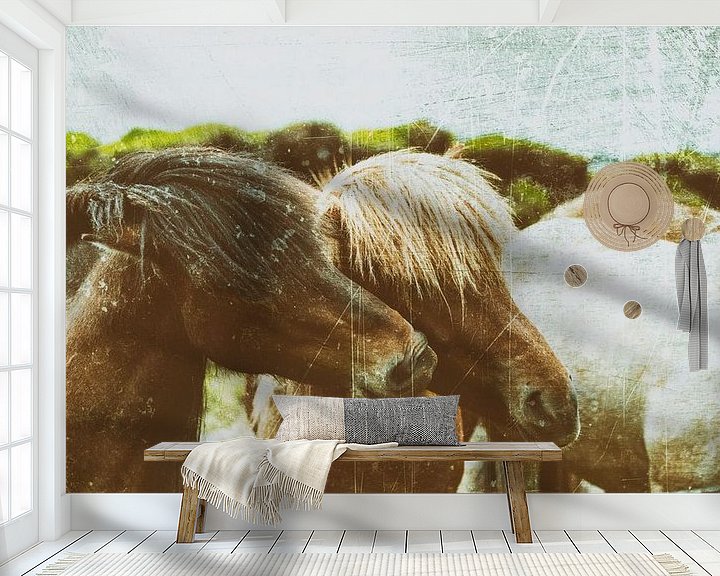 Impression: Rispað 1 sur Islandpferde  | IJslandse paarden | Icelandic horses