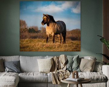 Wild horse by Marjolein van Middelkoop