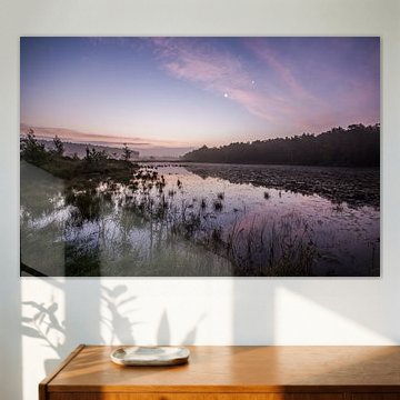 prachtige ochtend in de zomer