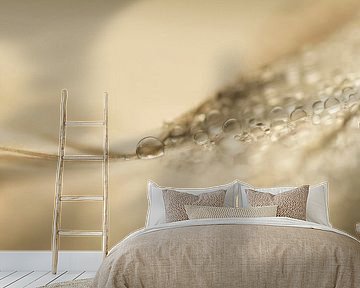 Feather art (soft picture of drops on a feather) by Birgitte Bergman