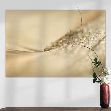 Federkunst (weiches Bild von Tropfen auf einer Feder)