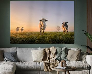 Koeien tijdens zonsopkomst | Nederlands landschap | Symmetrie van Marijn Alons