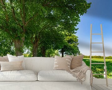 Rapsblüte an der Deutschen Alleenstraße auf Rügen