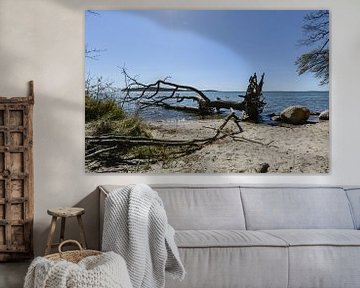 Natuurlijk strand in de Goor, Lauterbach op het eiland Rügen van GH Foto & Artdesign