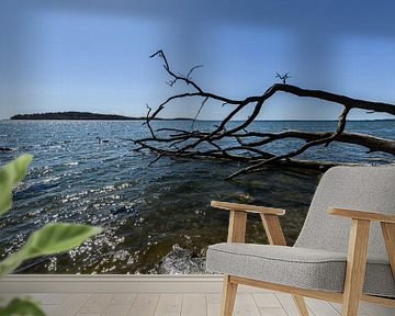 Natuurlijk strand in de Goor, Lauterbach op het eiland Rügen van GH Foto & Artdesign