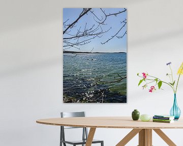 Aan de kust in de Goor, Vilmeiland, Lauterbach op Rügen van GH Foto & Artdesign